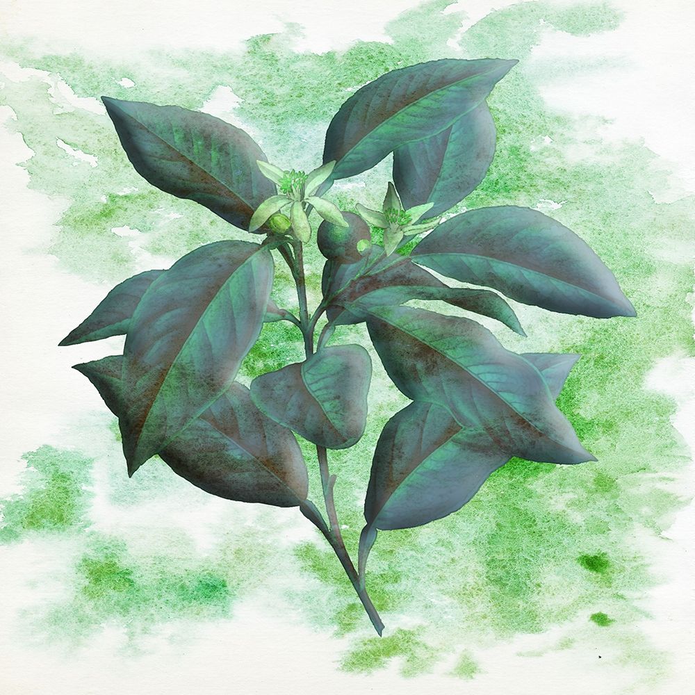 Watercolor Flowers 2 art print by Jamie Phillip for $57.95 CAD