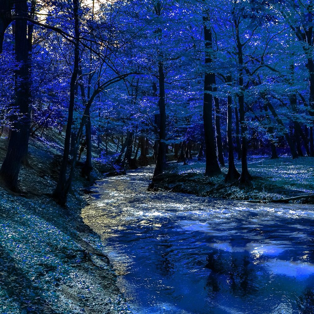 Mystical Blue Ravine art print by Jamie Phillip for $57.95 CAD