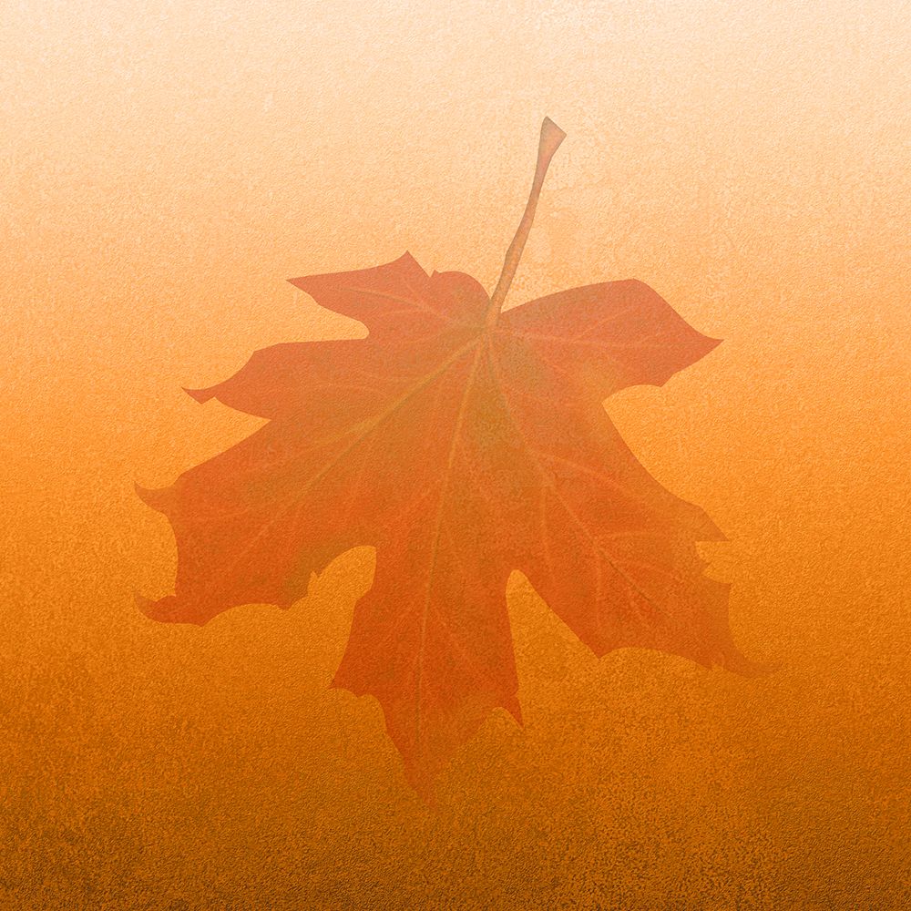 Seasons art print by Jamie Phillip for $57.95 CAD