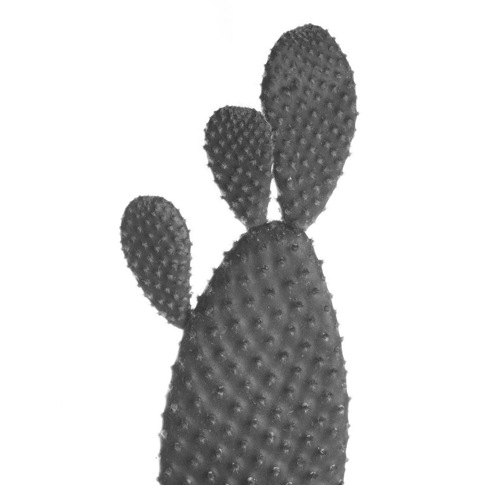 Black Cactus art print by Jamie Phillip for $57.95 CAD