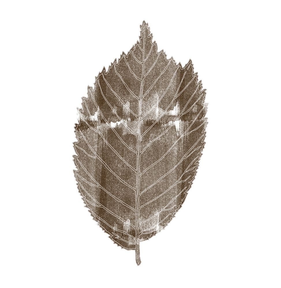 Nutral Way art print by Jamie Phillip for $57.95 CAD