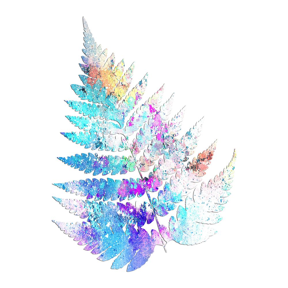 Wild Tropics art print by Jamie Phillip for $57.95 CAD