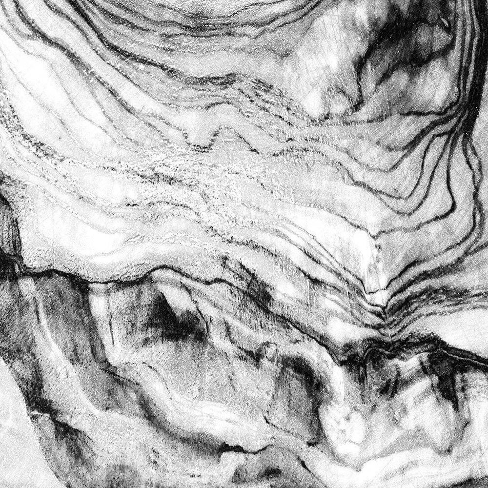 Black Vain Abstract art print by Jamie Phillip for $57.95 CAD