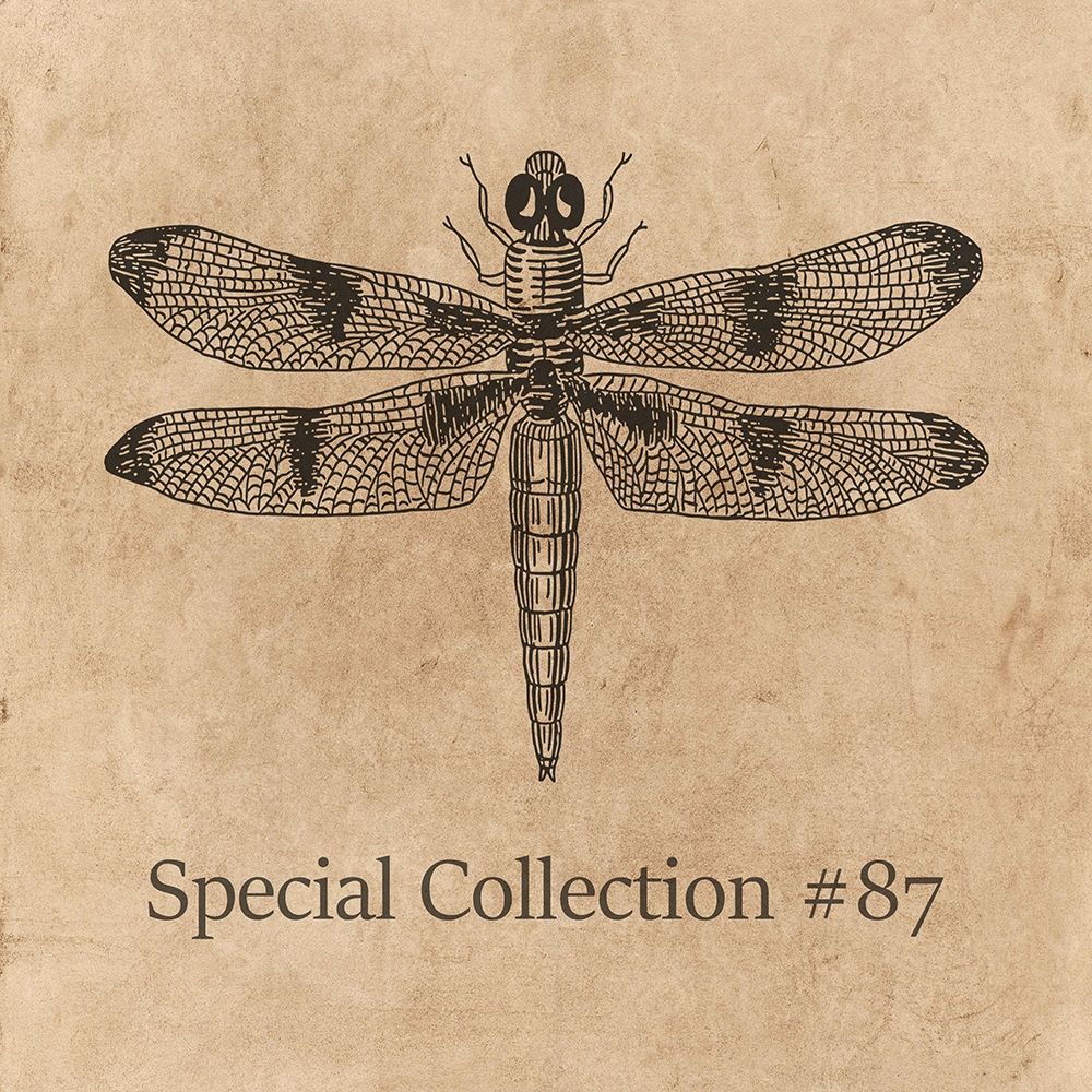 Special Collection 87 art print by Jamie Phillip for $57.95 CAD
