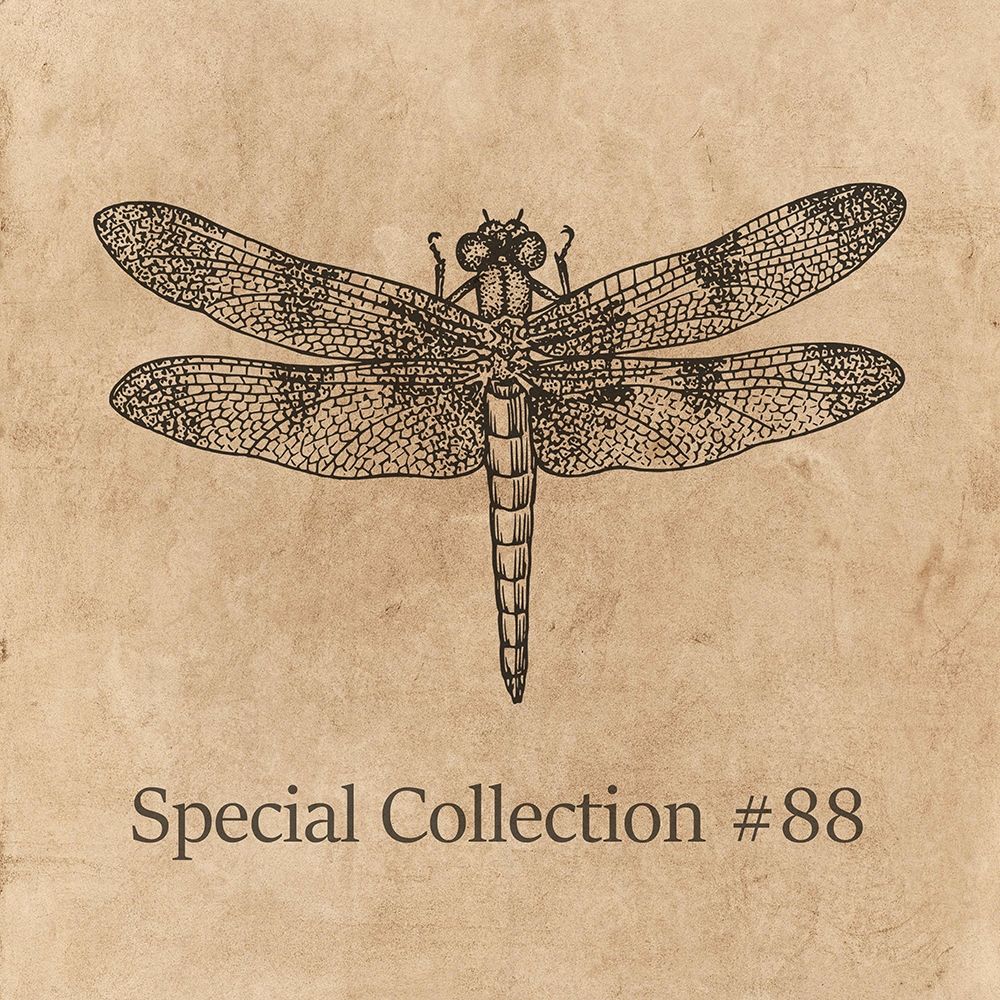 Special Collection 88 art print by Jamie Phillip for $57.95 CAD