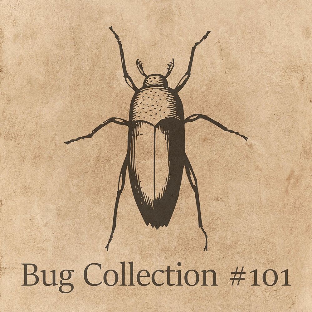 Special Collection 101 art print by Jamie Phillip for $57.95 CAD