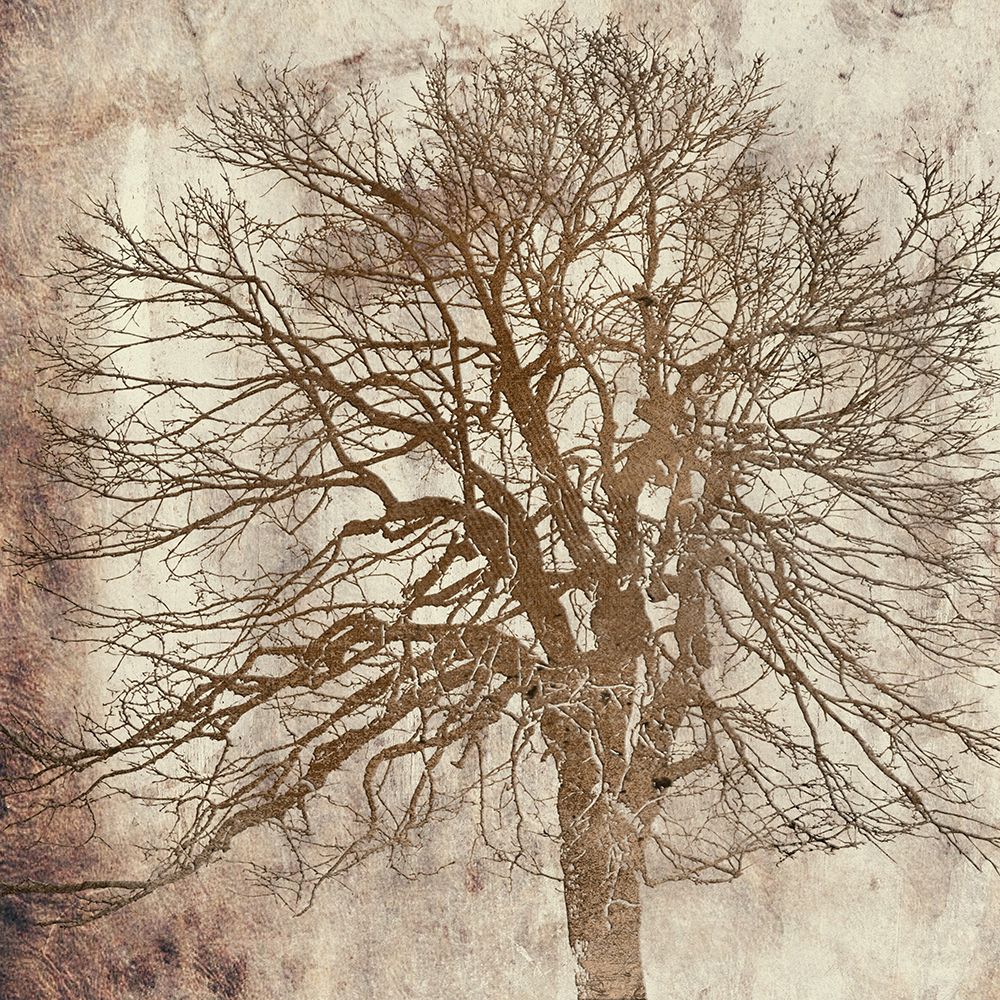 Big Tree art print by Jamie Phillip for $57.95 CAD