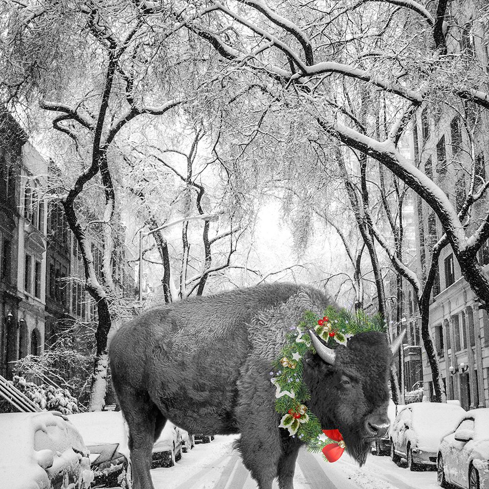 Christmas Buffalo art print by Jamie Phillip for $57.95 CAD