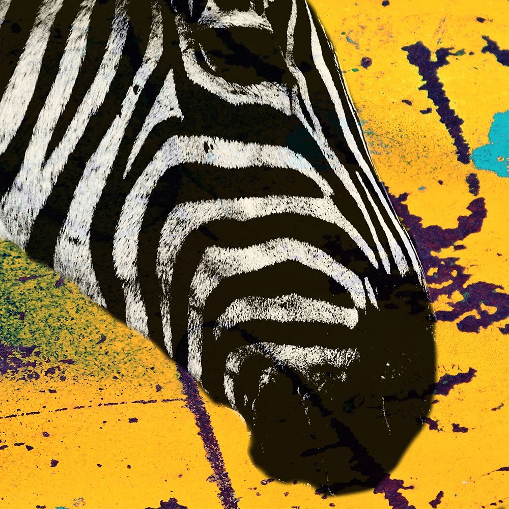 Africa Savanna art print by Jamie Phillip for $57.95 CAD