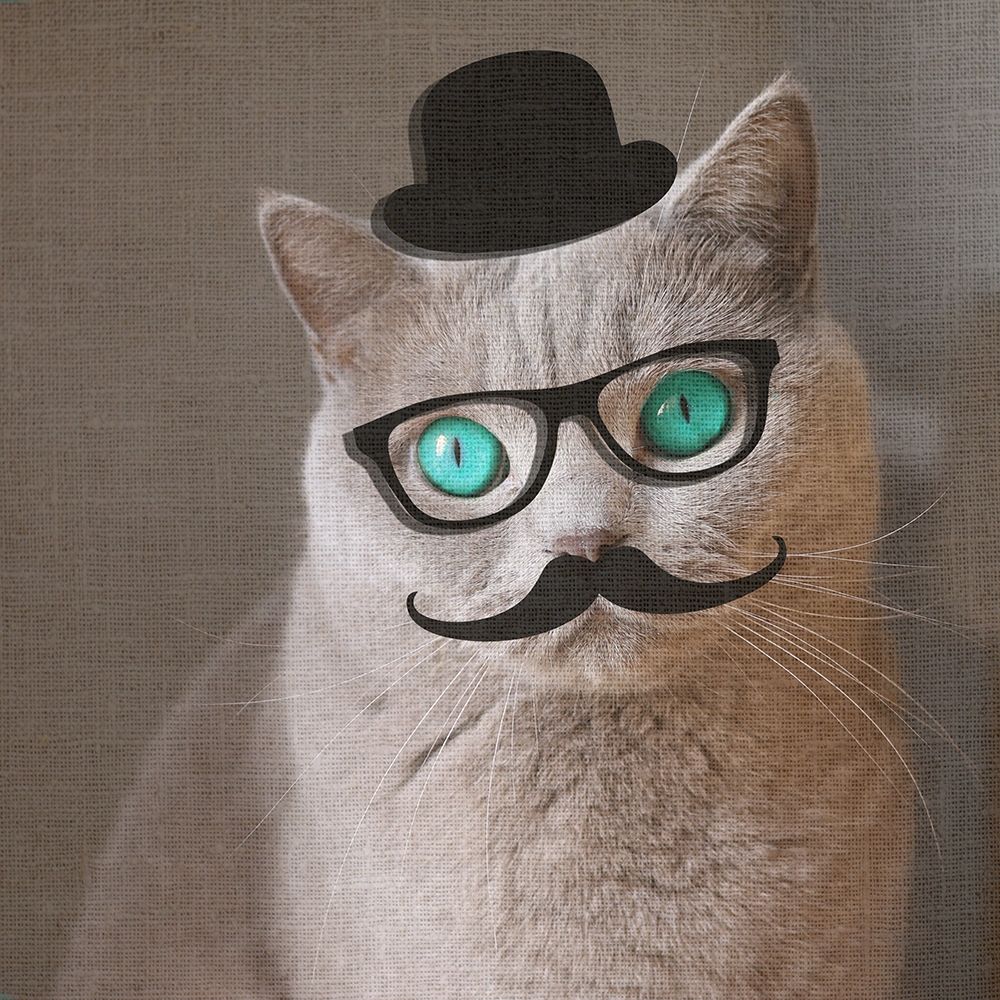 Kool Kat art print by Jamie Phillip for $57.95 CAD