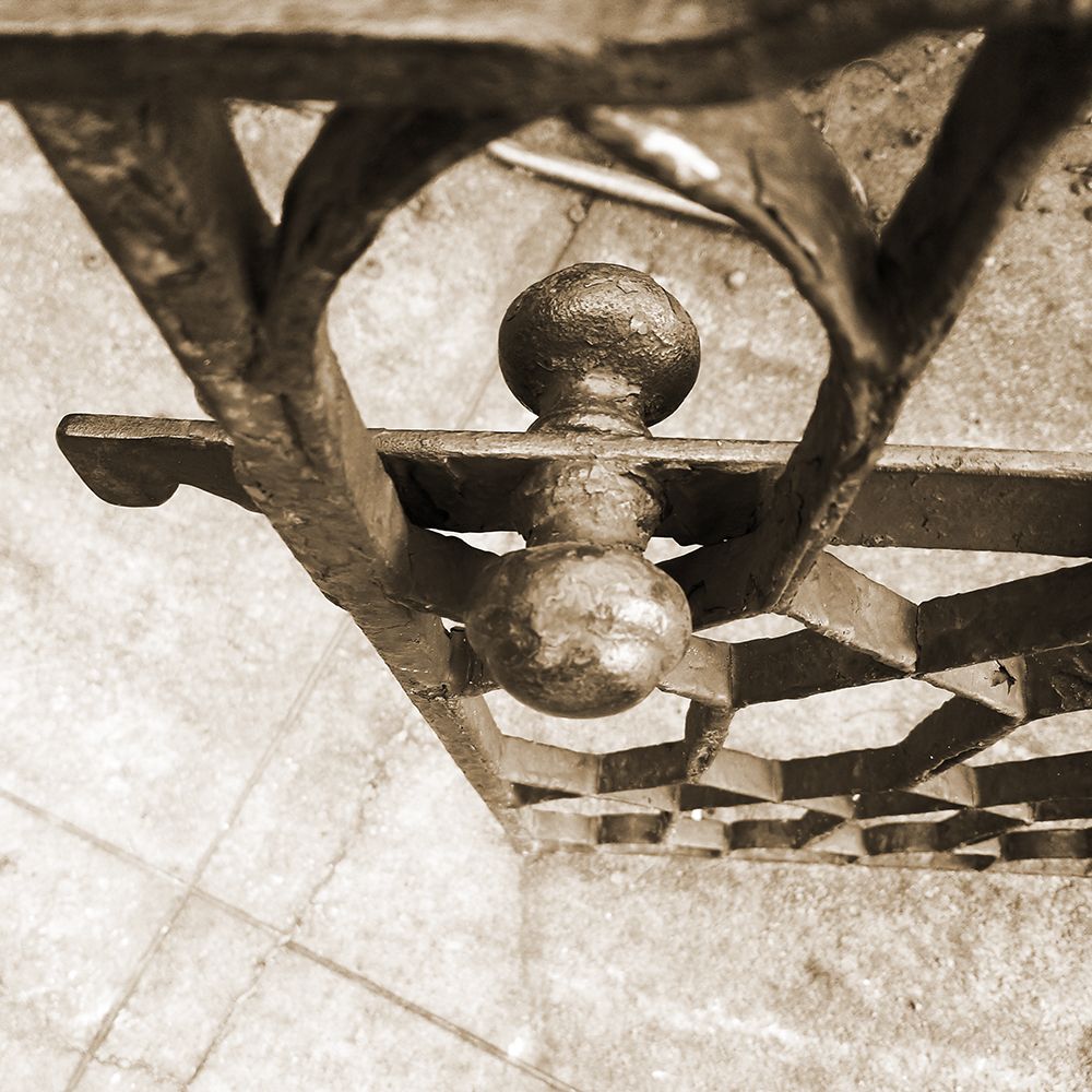 Sepia Iron Gate art print by Jamie Phillip for $57.95 CAD