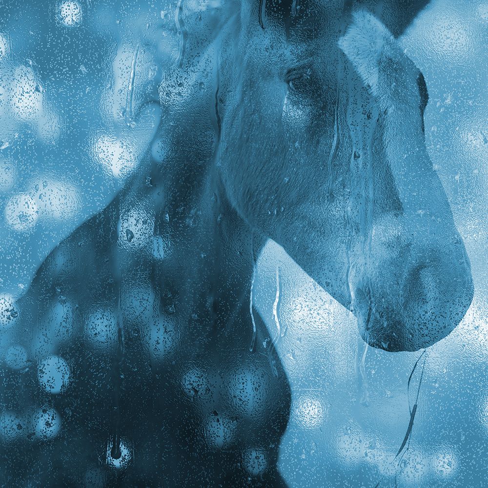 Blue Bubble Horse art print by Jamie Phillip for $57.95 CAD
