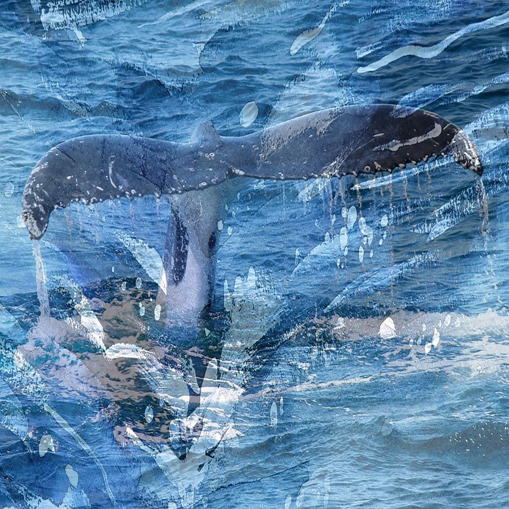Whale Tail art print by Jamie Phillip for $57.95 CAD