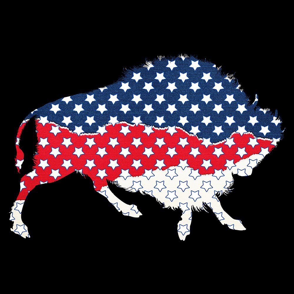 American Bison art print by Jamie Phillip for $57.95 CAD
