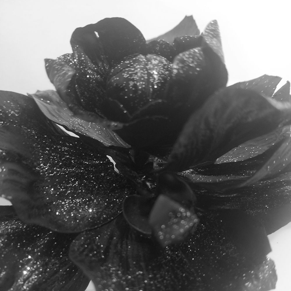 Black Rose Gold art print by Jamie Phillip for $57.95 CAD