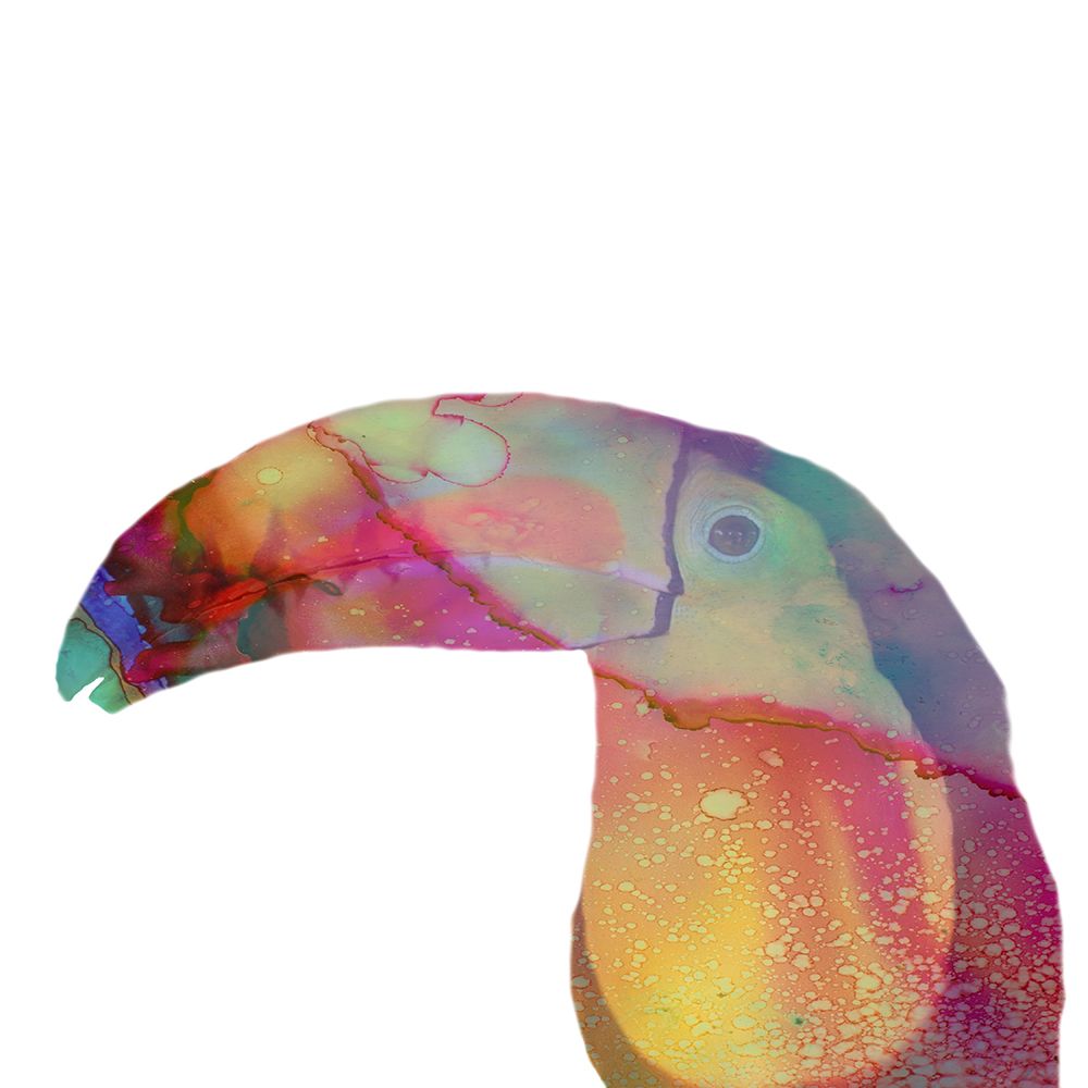 Toucan Boy art print by Jamie Phillip for $57.95 CAD