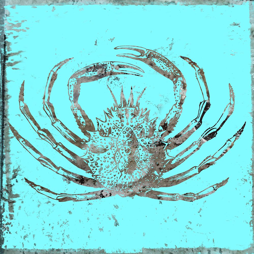 Whay So Crabby art print by Jamie Phillip for $57.95 CAD