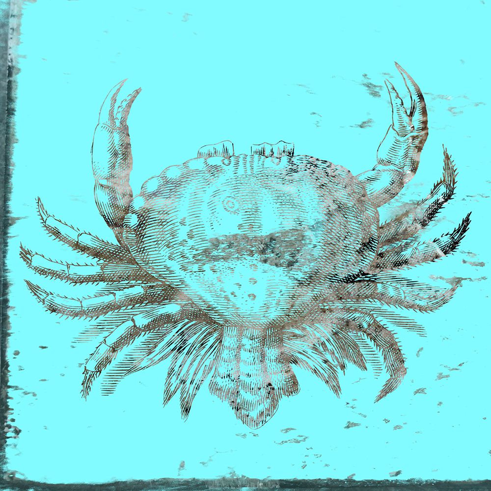 Whay So Crabby 2 art print by Jamie Phillip for $57.95 CAD