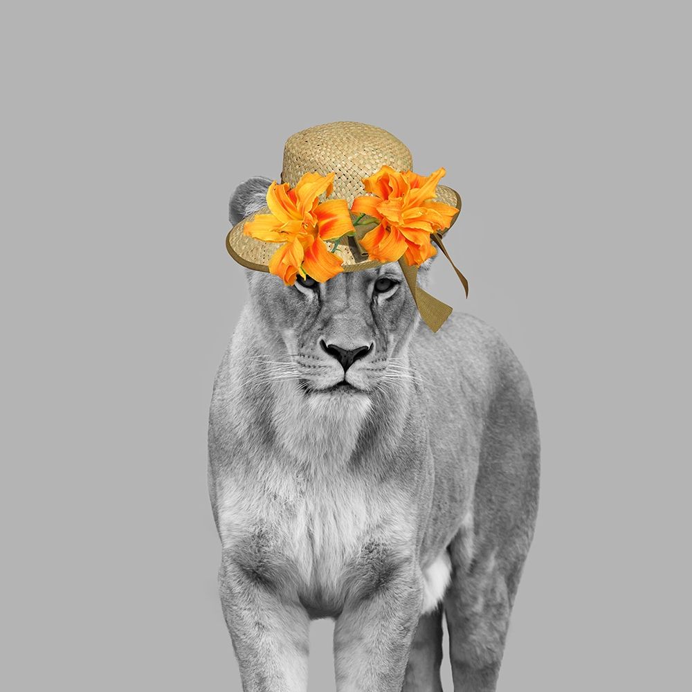 Jungle Queen B art print by Jamie Phillip for $57.95 CAD