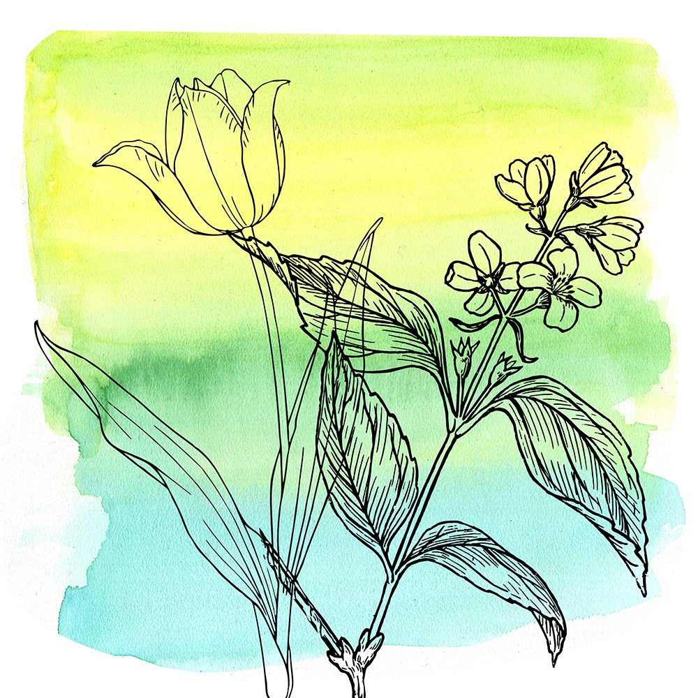 Garden In Bloom 2 art print by Jamie Phillip for $57.95 CAD