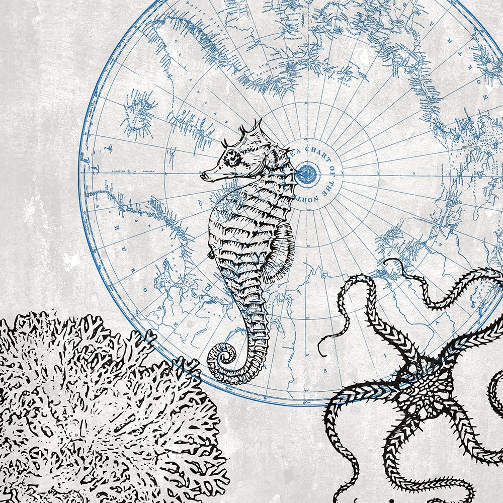 Sea Creatures art print by Jamie Phillip for $57.95 CAD