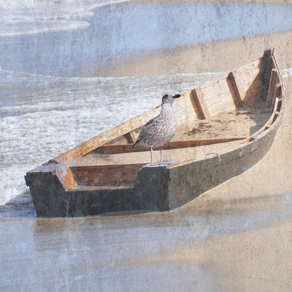 Bay Bird 1 art print by Jamie Phillip for $57.95 CAD