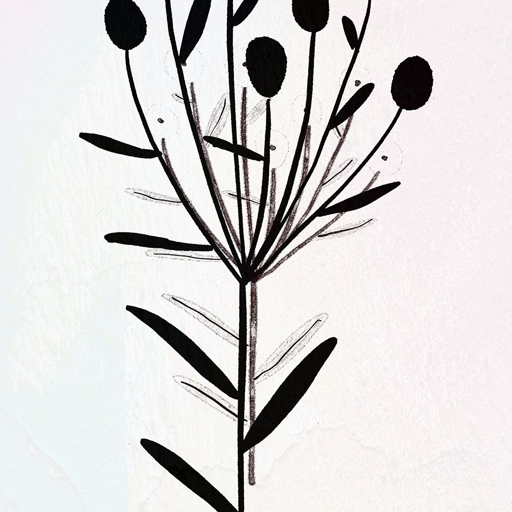 Blended Botanic art print by Jamie Phillip for $57.95 CAD