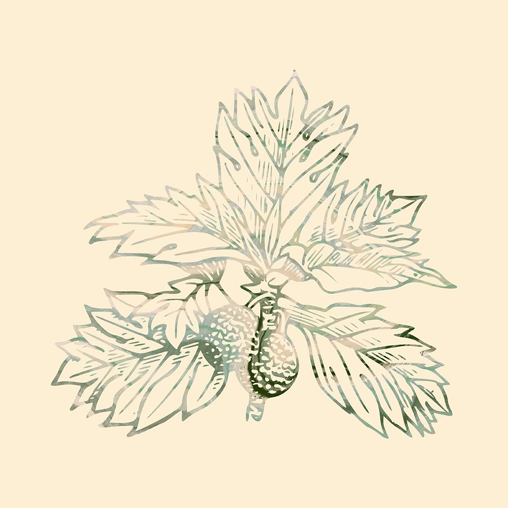 Breadfruit art print by Jamie Phillip for $57.95 CAD