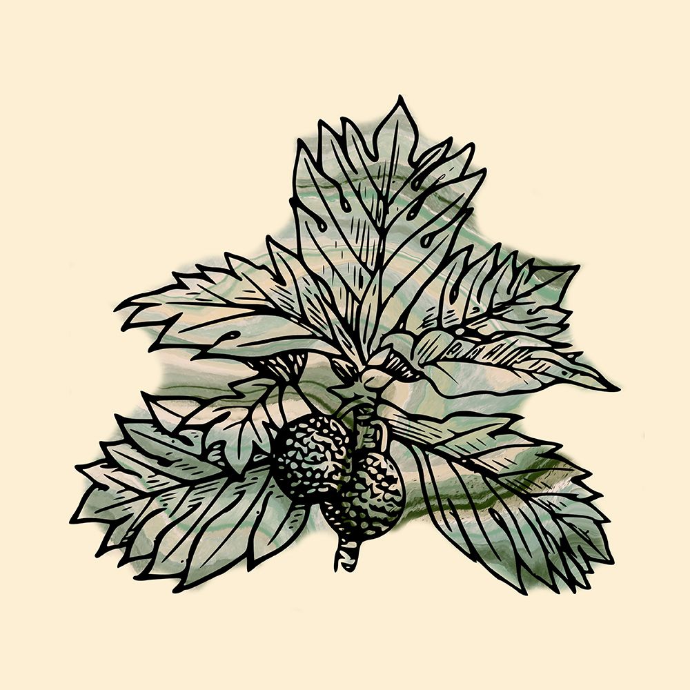 Breadfruit 2 art print by Jamie Phillip for $57.95 CAD