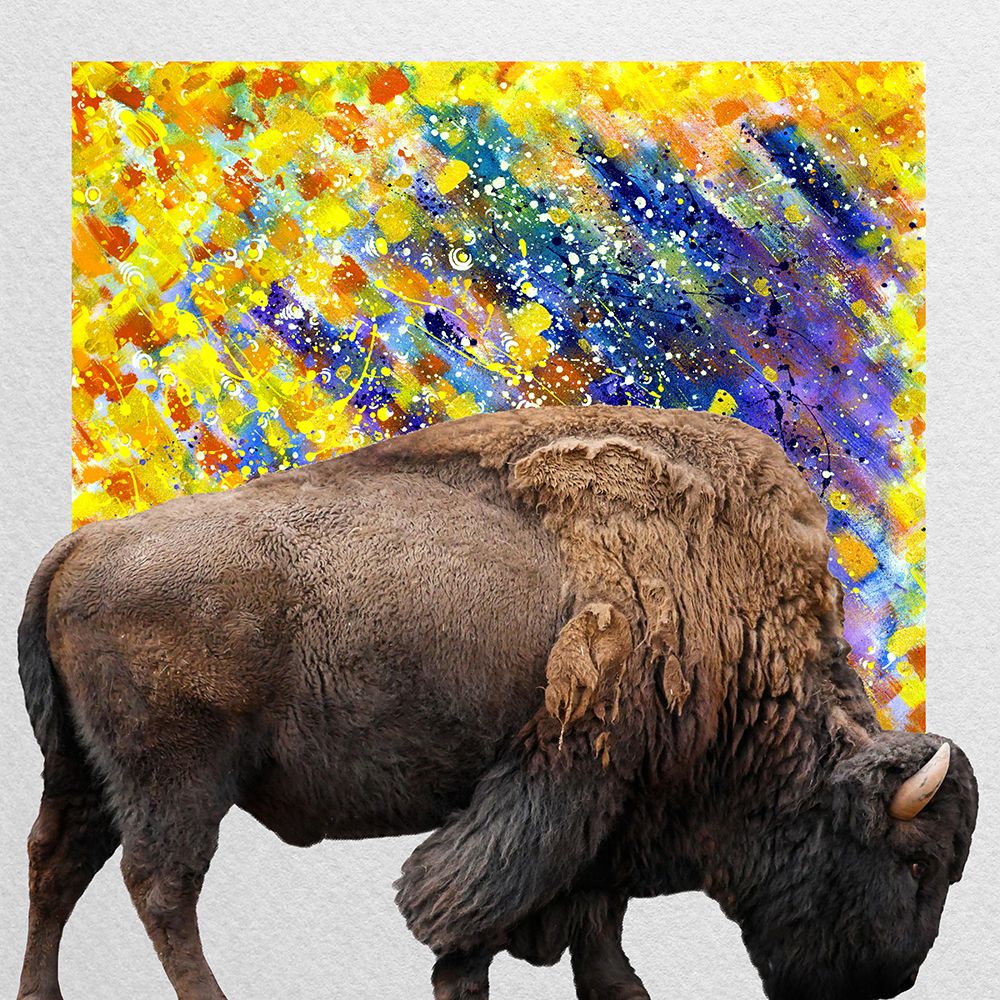 Grazer 2 art print by Jamie Phillip for $57.95 CAD
