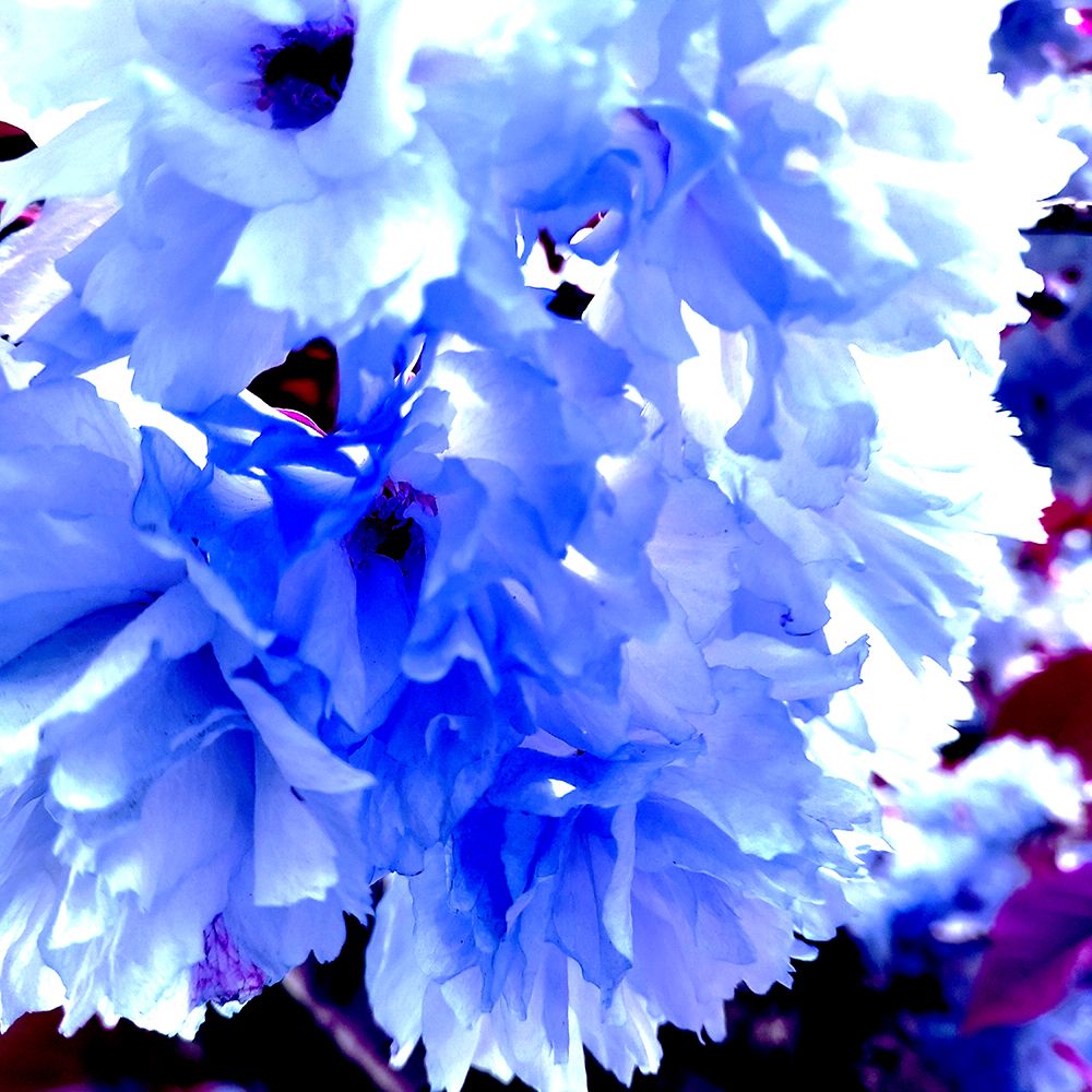 I Love Flowers art print by Jamie Phillip for $57.95 CAD