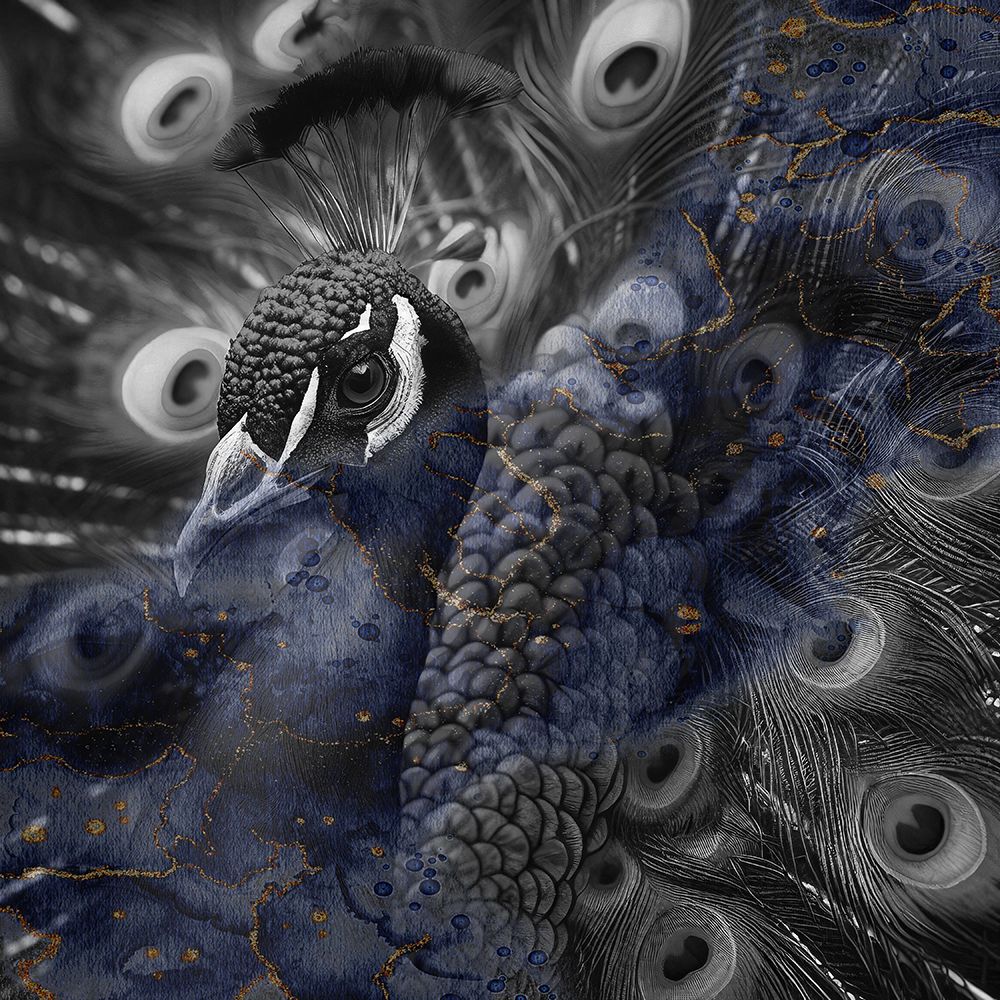 Golden Black Peacock art print by Jamie Phillip for $57.95 CAD