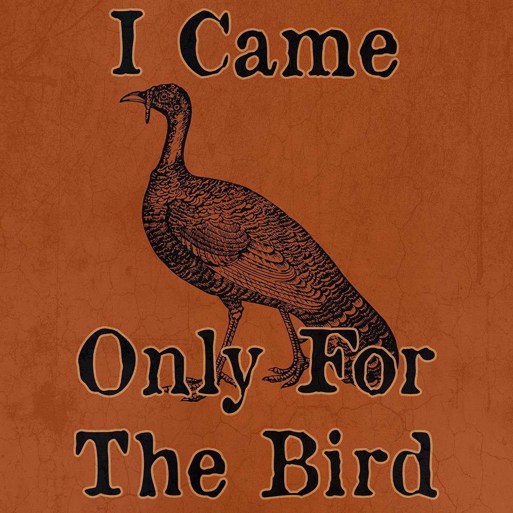 Turkey Bird art print by Jamie Phillip for $57.95 CAD