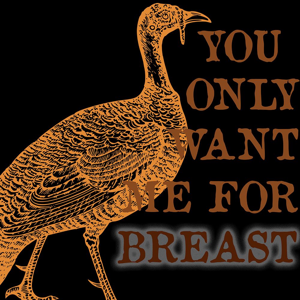 Turkey Breast art print by Jamie Phillip for $57.95 CAD