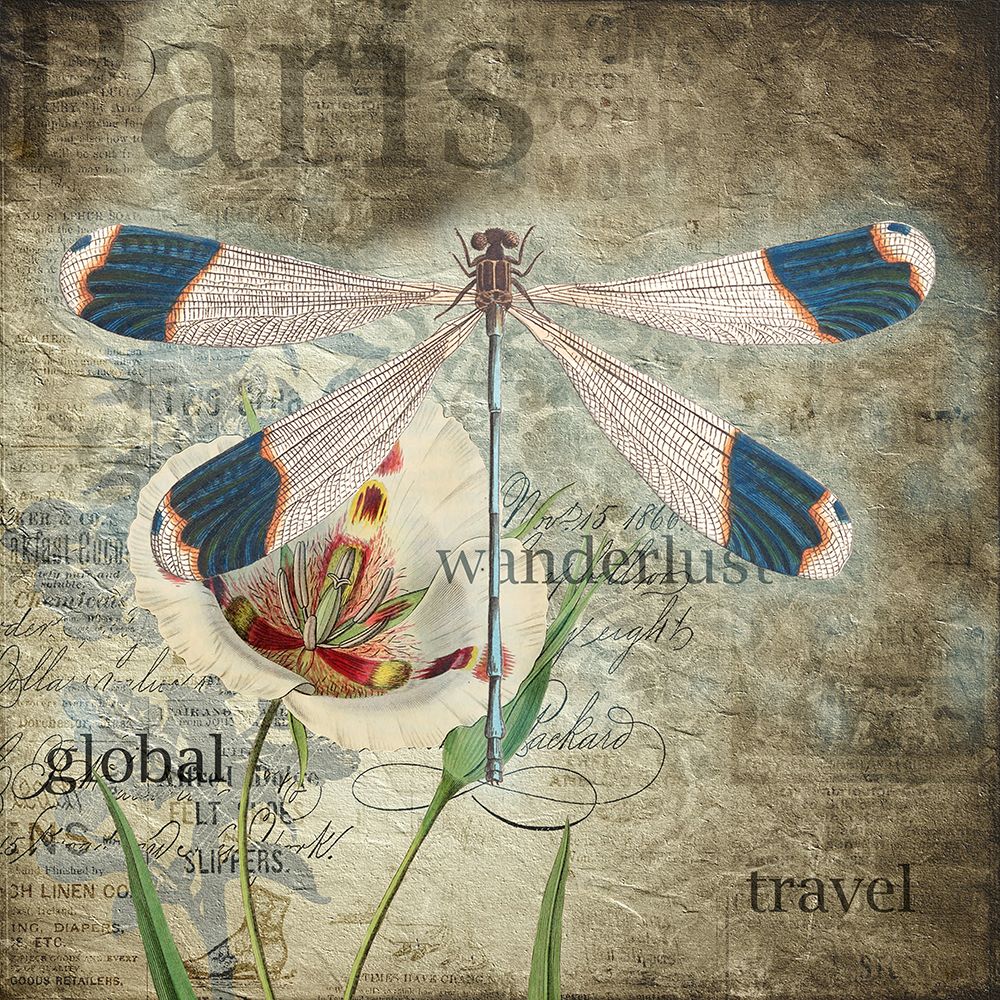 Vintage Wanderlust art print by Jamie Phillip for $57.95 CAD