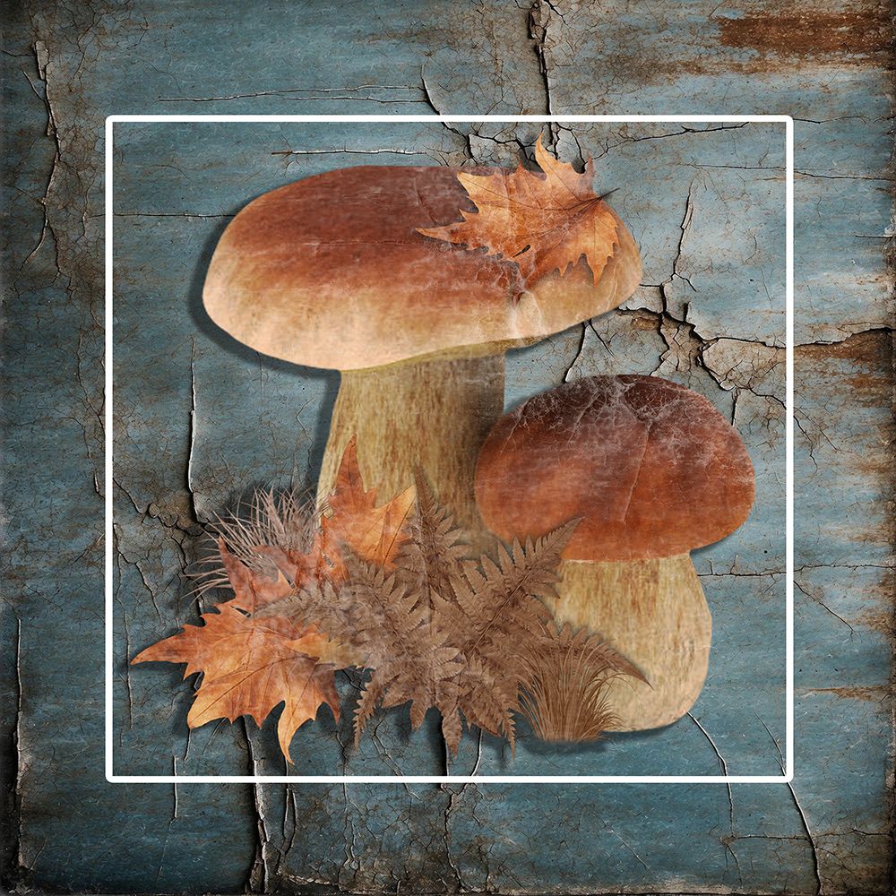 Fall Mushroom art print by Jamie Phillip for $57.95 CAD
