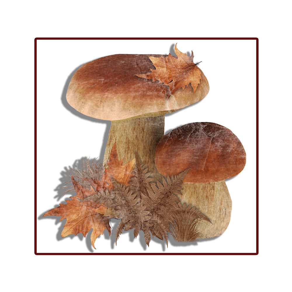 Fall Mushroom 2 art print by Jamie Phillip for $57.95 CAD