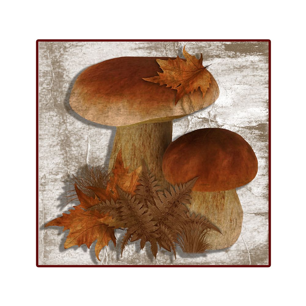 Fall Mushroom 3 art print by Jamie Phillip for $57.95 CAD