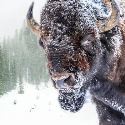 Photography prints and posters