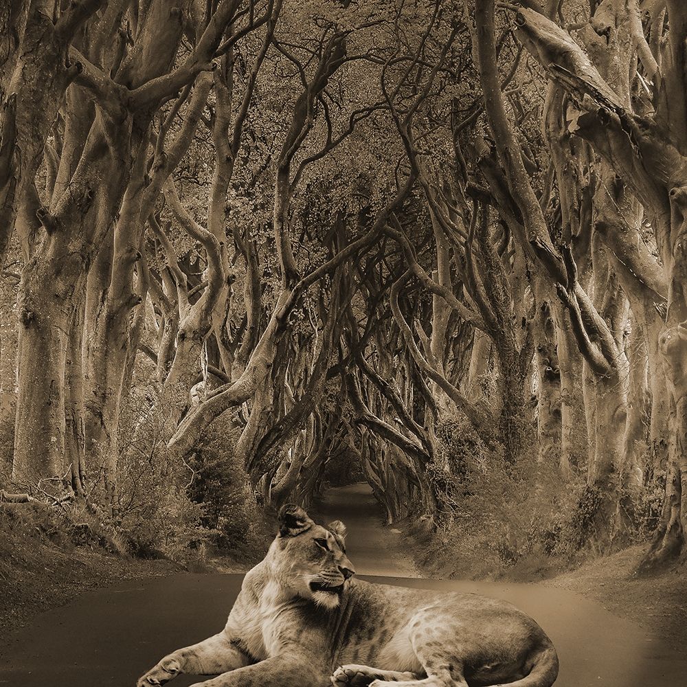 Friend In The Road art print by Jamie Phillip for $57.95 CAD