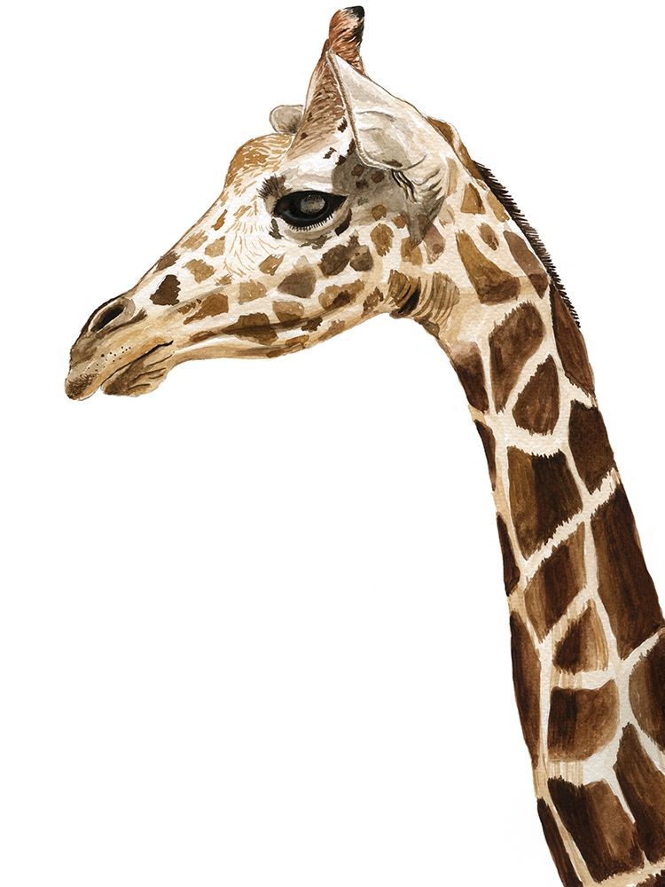 Giraffe art print by Urban Road for $57.95 CAD