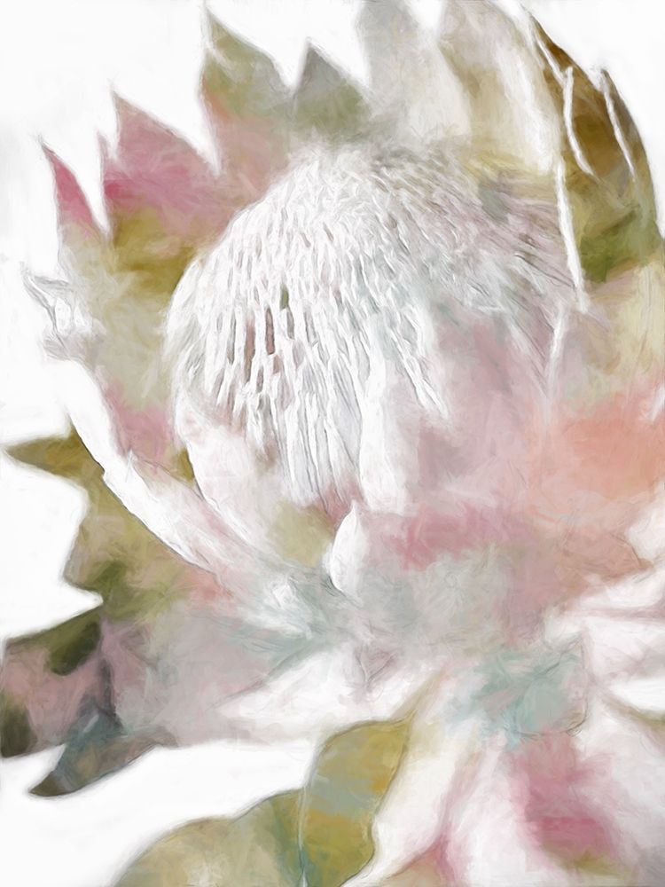 Sugar Bush II art print by Urban Road for $57.95 CAD