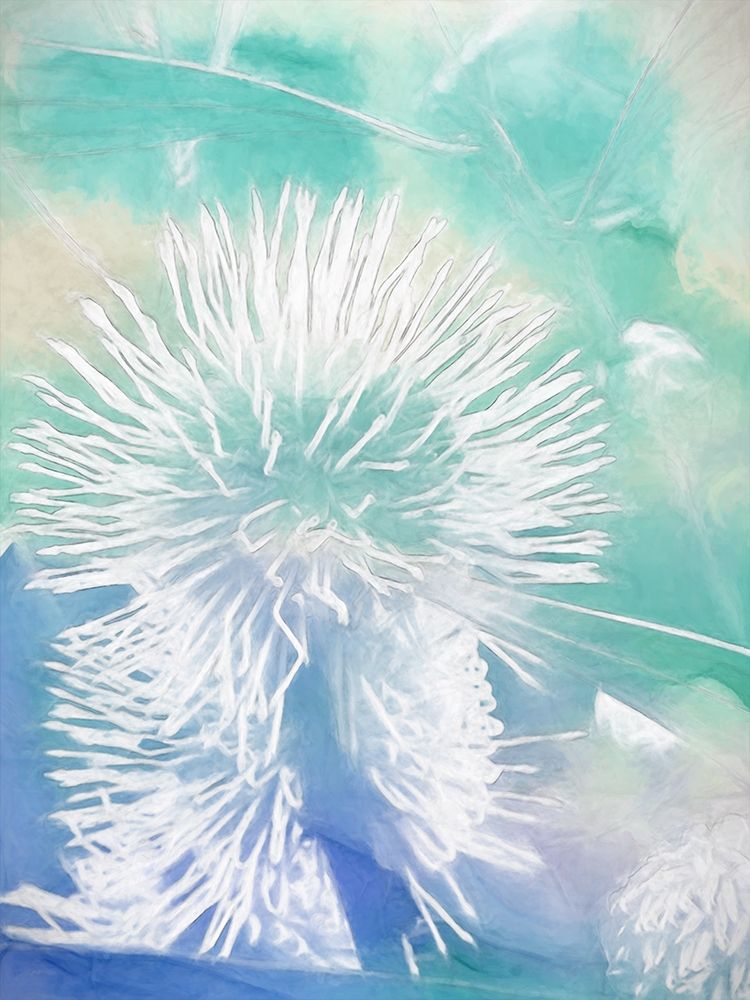 Make A Wish I art print by Urban Road for $57.95 CAD