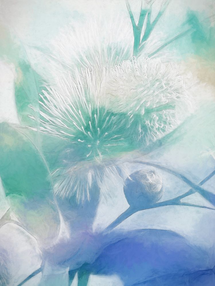 Make A Wish II art print by Urban Road for $57.95 CAD