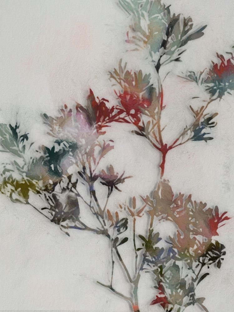 Winter Posy II art print by Urban Road for $57.95 CAD