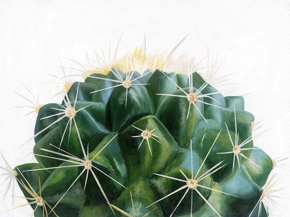 Cacti art print by Urban Road for $57.95 CAD