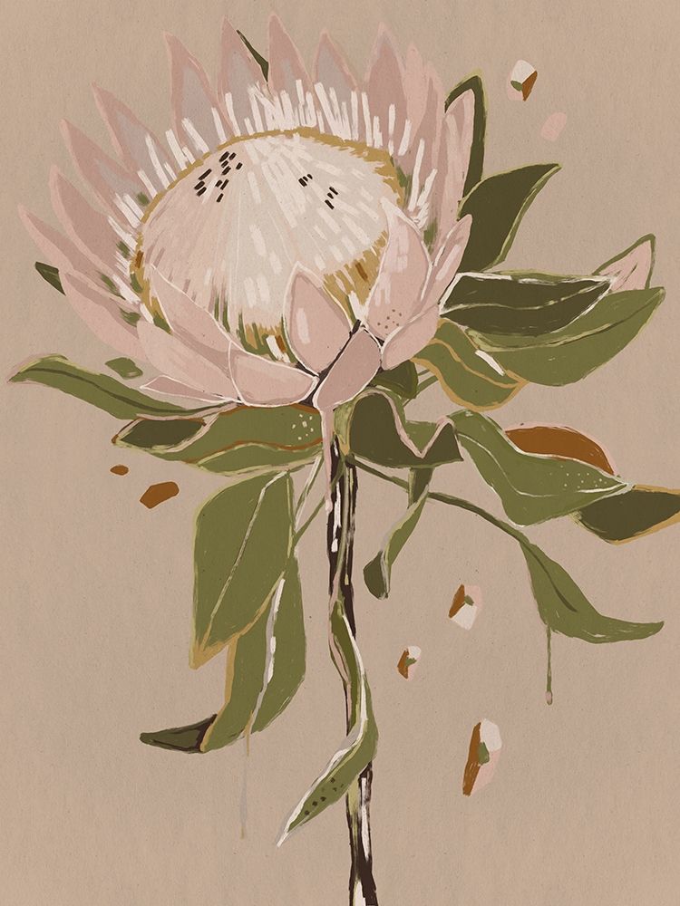 Neutral Protea art print by Urban Road for $57.95 CAD