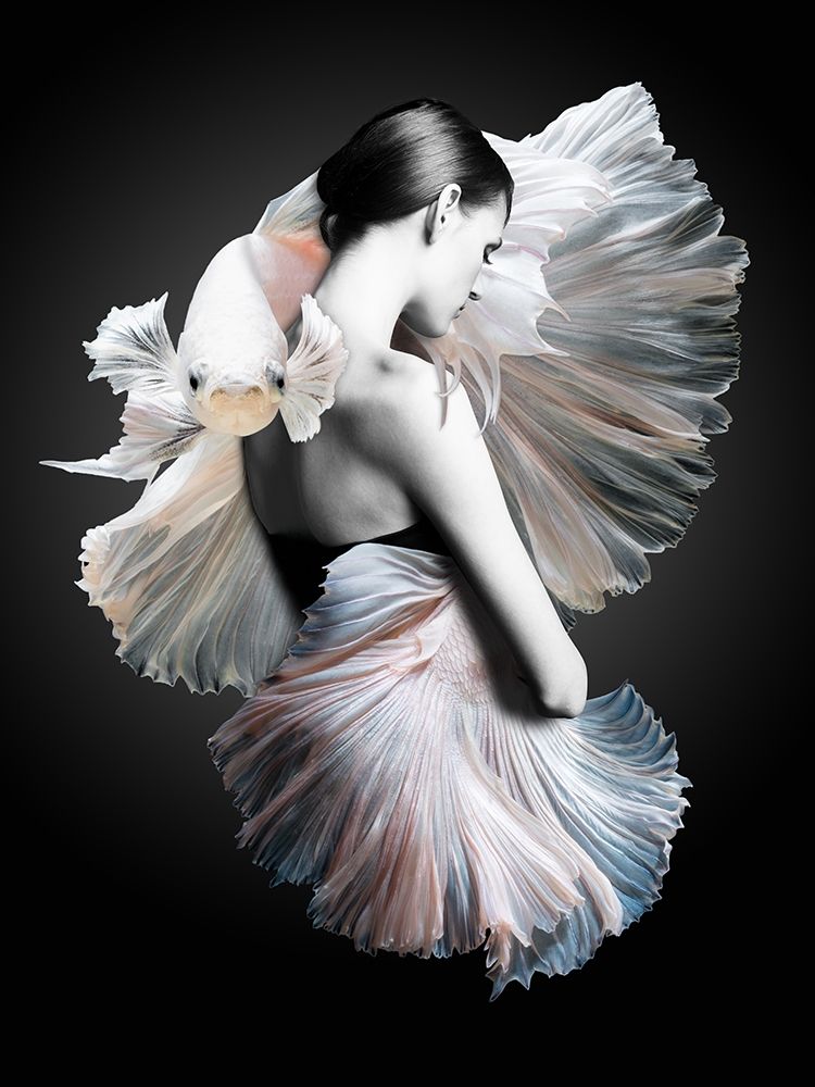 Shai art print by Urban Road for $57.95 CAD