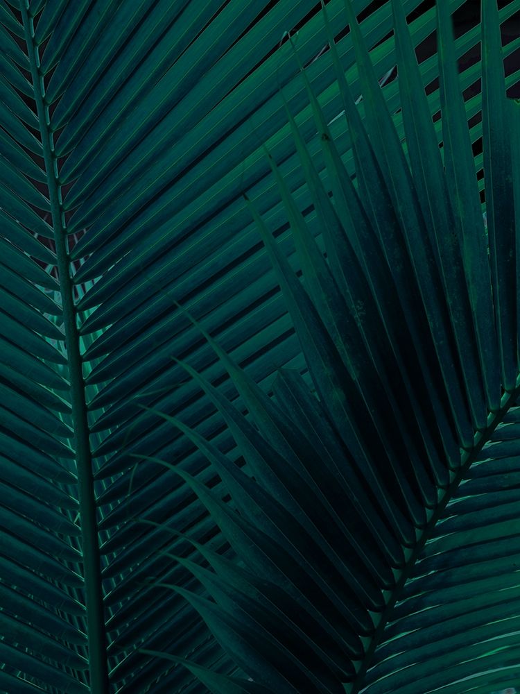 Shade I art print by Urban Road for $57.95 CAD