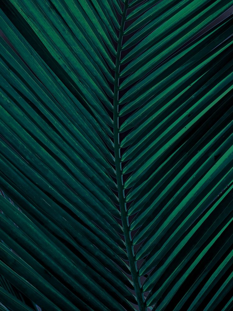 Shade II art print by Urban Road for $57.95 CAD